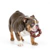 Central Garden Pet Durable Dog Chew Toy Textured Surface-4