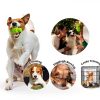 PIFFZEDO Natural Rubber Squeaky Dog Chew Toy Medium Large-4