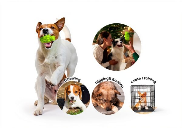 PIFFZEDO Natural Rubber Squeaky Dog Chew Toy Medium Large-4