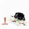 Ethical Dog Chew Toy Durable Beef Flavor for Tough Chewers-8