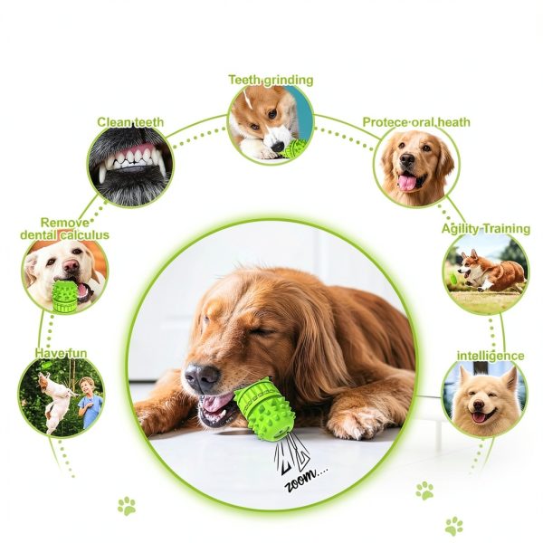 PIFFZEDO Natural Rubber Squeaky Dog Chew Toy Medium Large-2