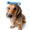Central Garden Pet Puppy Chew Toys Healthy Teething Treats-4