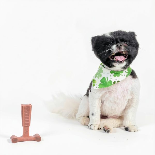 Ethical Dog Chew Toy Durable Beef Flavor for Tough Chewers-7