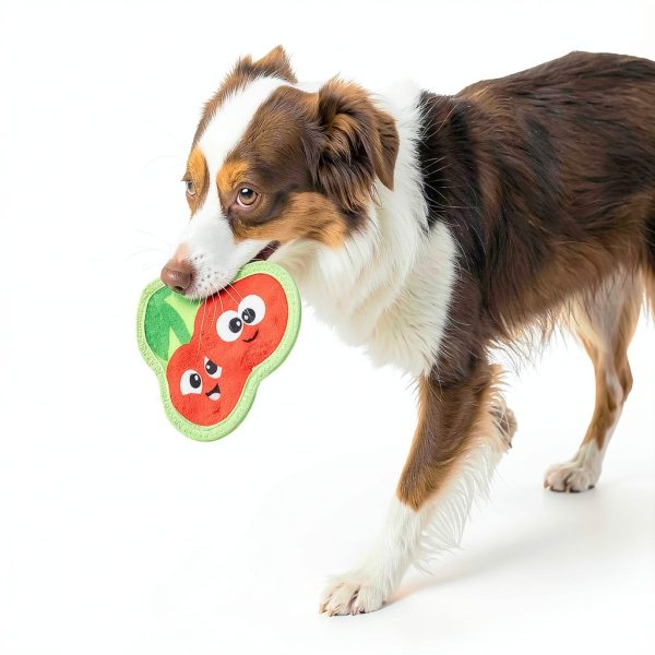 Outward Hound Plush Dog Toy Durable Chew Resistant Squeaker-5