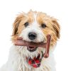 Ethical Dog Chew Toy Durable Beef Flavor for Tough Chewers-5