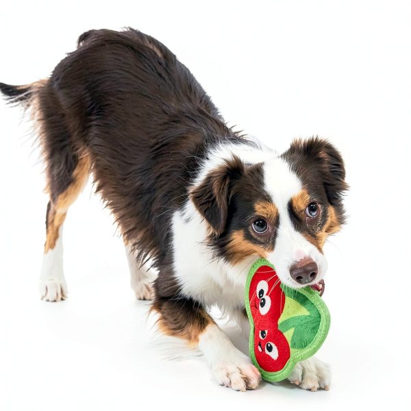 Outward Hound Plush Dog Toy Durable Chew Resistant Squeaker-2