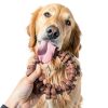 Central Garden Pet Durable Dog Chew Toy Textured Surface-6