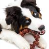 Central Garden Pet Durable Dog Chew Toy Textured Surface-1