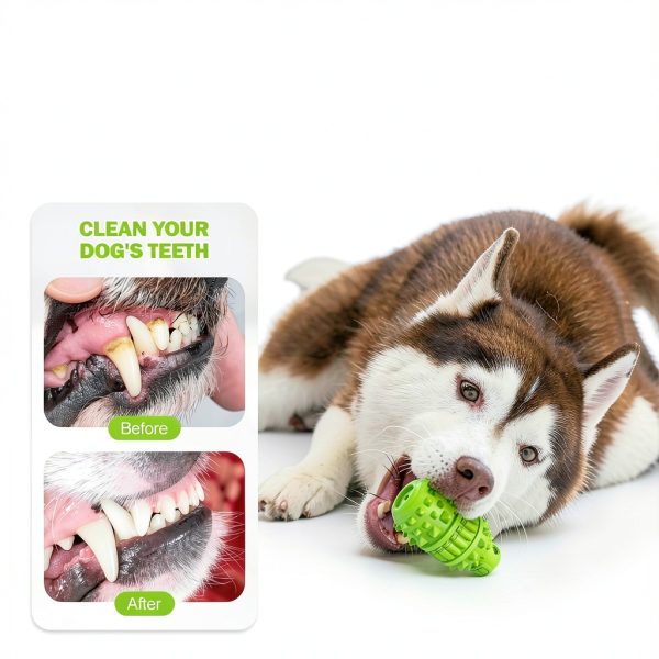 PIFFZEDO Natural Rubber Squeaky Dog Chew Toy Medium Large-3