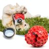Indestructible Squeaky Dog Ball DISSKNIC Pet Toy Teeth-2