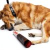 Nestpark Dog Squeak Toy Fun Doobie Design for All Dogs-4