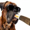 Nestpark Dog Squeak Toy Fun Doobie Design for All Dogs-1