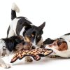 SHARLOVY Durable Dog Chew Toys Squeaky Crinkle Pet Supplies-1