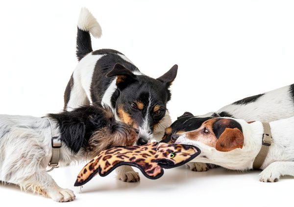 SHARLOVY Durable Dog Chew Toys Squeaky Crinkle Pet Supplies-1