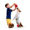 Indestructible Squeaky Dog Ball DISSKNIC Pet Toy Teeth-3