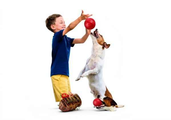 Indestructible Squeaky Dog Ball DISSKNIC Pet Toy Teeth-3