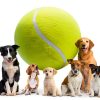 Banfeng Giant Tennis Ball Dog Toy Natural Rubber Exercise-2