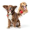 Indestructible Squeaky Dog Ball DISSKNIC Pet Toy Teeth-4
