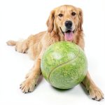 Banfeng Giant Tennis Ball Dog Toy Natural Rubber Exercise-0
