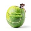 Banfeng Giant Tennis Ball Dog Toy Natural Rubber Exercise-3
