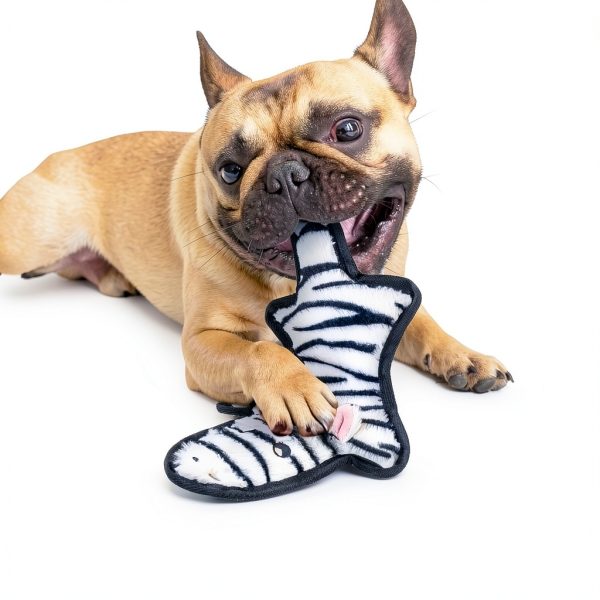 SHARLOVY Durable Dog Chew Toys Squeaky Crinkle Pet Supplies-4