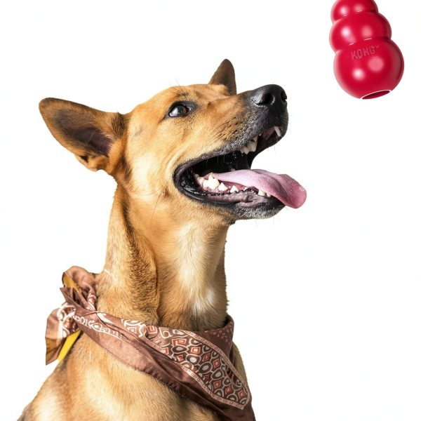 KONG Classic Dog Chew Toy Red Rubber Durable-6