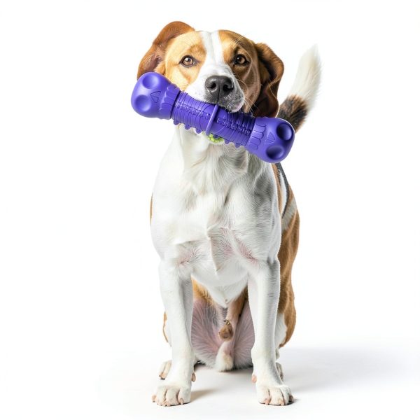 ZIKATON Dog Chew Toy Natural Rubber Squeaker-3