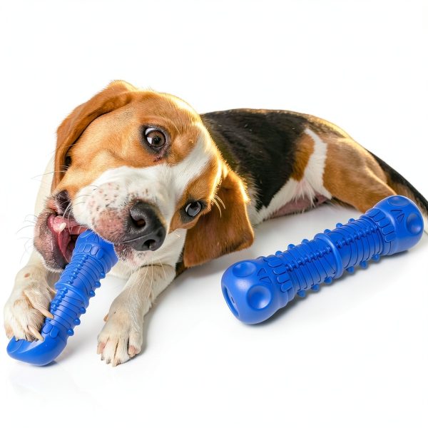 Dog Squeaky Toy ZIKATON Durable Vinyl Design-1