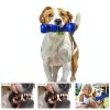 Dog Squeaky Toy ZIKATON Durable Vinyl Design-2