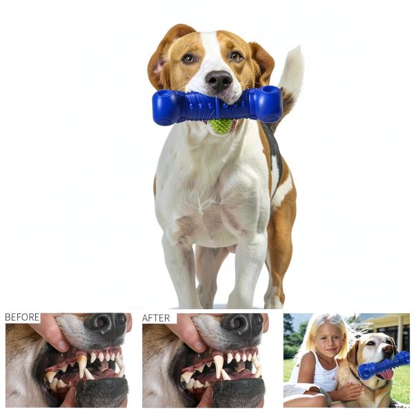 Dog Squeaky Toy ZIKATON Durable Vinyl Design-2