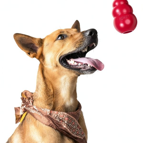 KONG Classic Dog Chew Toy Red Rubber Durable-7