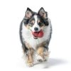 KONG Classic Dog Chew Toy Red Rubber Durable-3