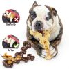 Dog Chew Toy BrandX Nylon Stick Durable Design-4