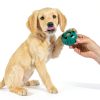Pupsicle Dog Chew Toy Natural Rubber Woof-7