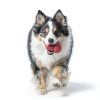 KONG Classic Dog Chew Toy Red Rubber Durable-4