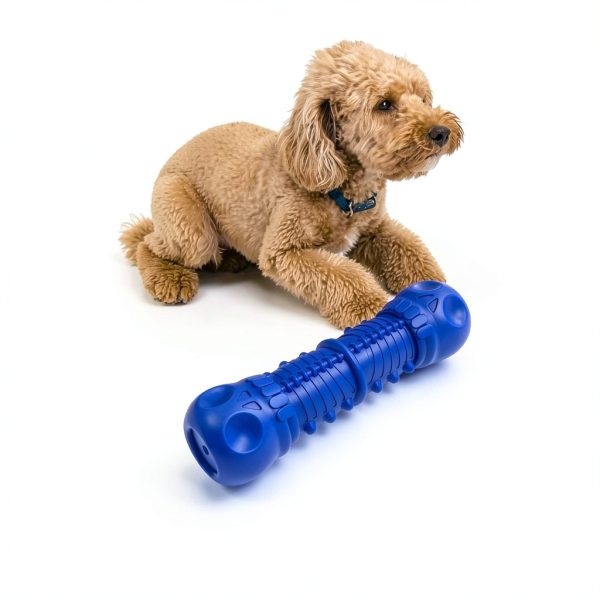 Dog Squeaky Toy ZIKATON Durable Vinyl Design-3