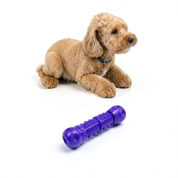 ZIKATON Dog Chew Toy Natural Rubber Squeaker-4